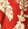 Rouge jaune Hibiscus